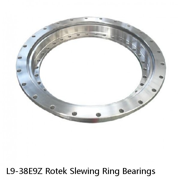 L9-38E9Z Rotek Slewing Ring Bearings