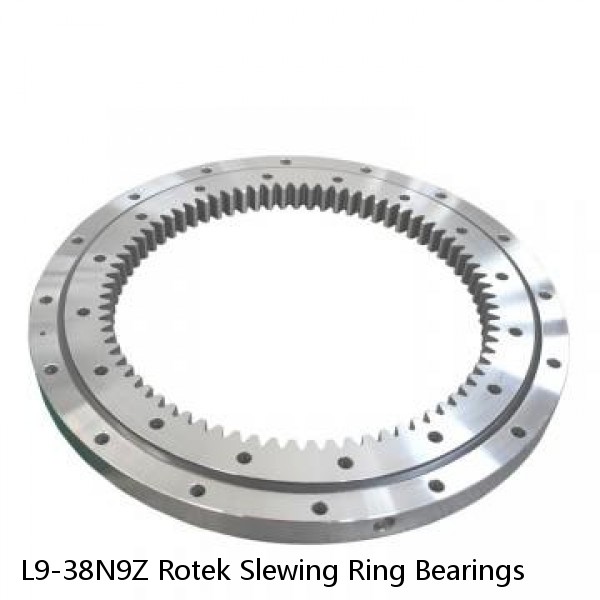 L9-38N9Z Rotek Slewing Ring Bearings