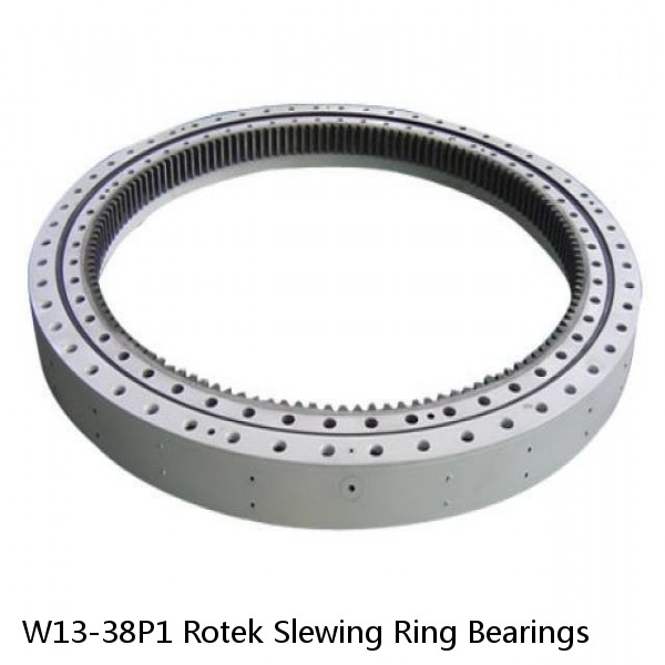 W13-38P1 Rotek Slewing Ring Bearings