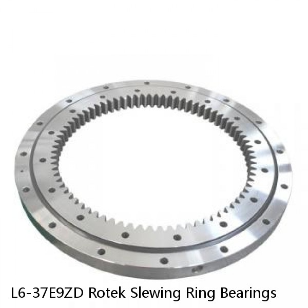 L6-37E9ZD Rotek Slewing Ring Bearings