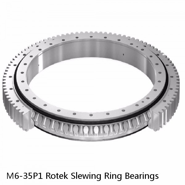 M6-35P1 Rotek Slewing Ring Bearings