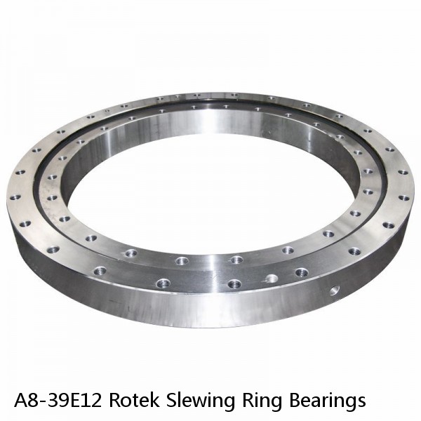 A8-39E12 Rotek Slewing Ring Bearings