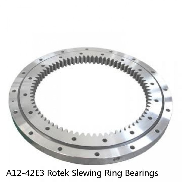 A12-42E3 Rotek Slewing Ring Bearings