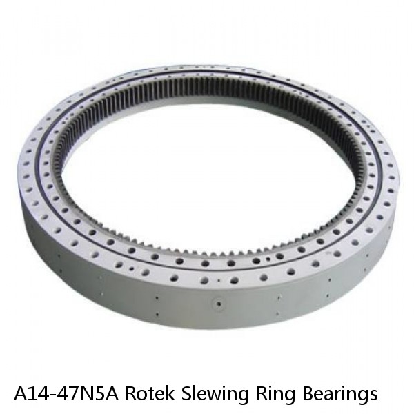 A14-47N5A Rotek Slewing Ring Bearings