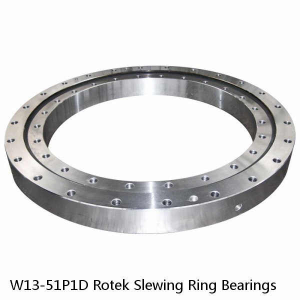 W13-51P1D Rotek Slewing Ring Bearings