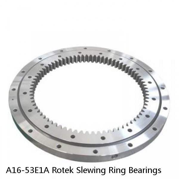 A16-53E1A Rotek Slewing Ring Bearings