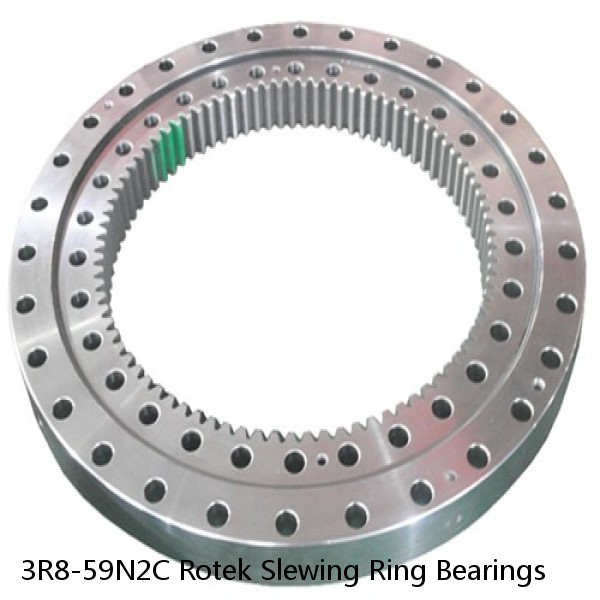 3R8-59N2C Rotek Slewing Ring Bearings