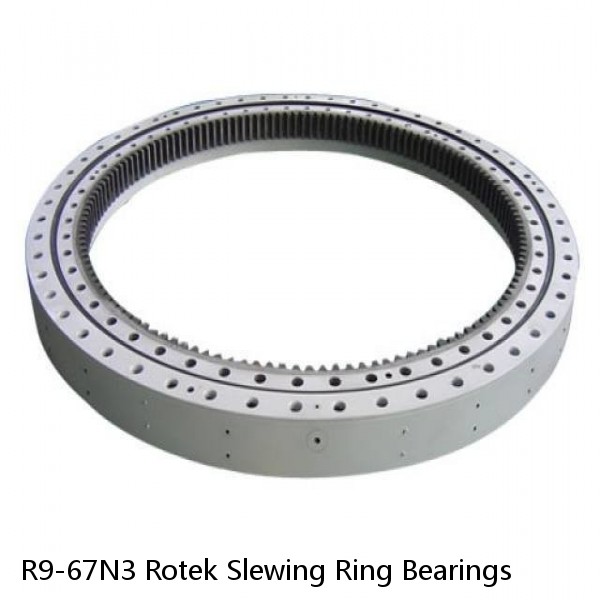 R9-67N3 Rotek Slewing Ring Bearings