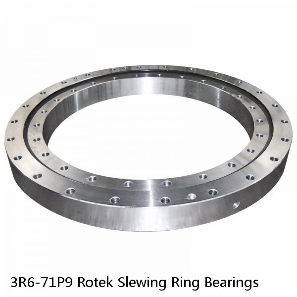 3R6-71P9 Rotek Slewing Ring Bearings