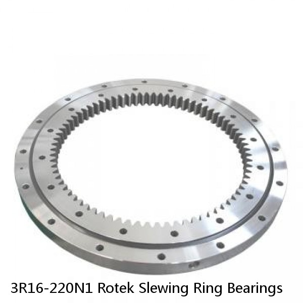 3R16-220N1 Rotek Slewing Ring Bearings