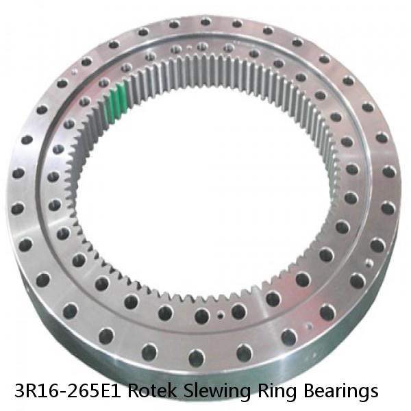 3R16-265E1 Rotek Slewing Ring Bearings