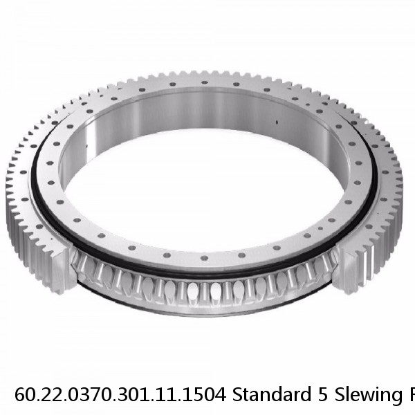 60.22.0370.301.11.1504 Standard 5 Slewing Ring Bearings