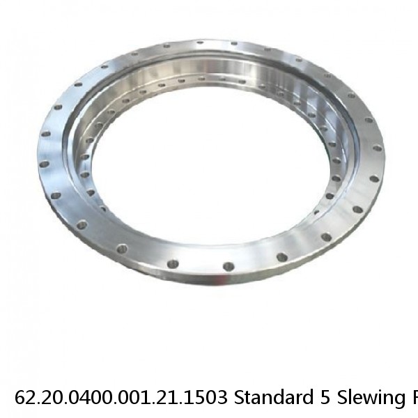 62.20.0400.001.21.1503 Standard 5 Slewing Ring Bearings