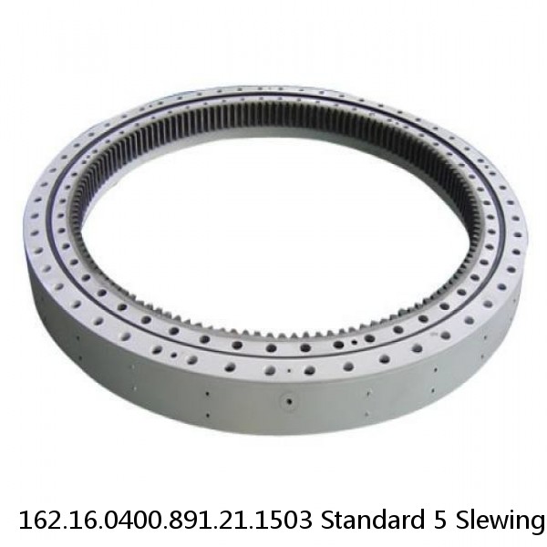 162.16.0400.891.21.1503 Standard 5 Slewing Ring Bearings