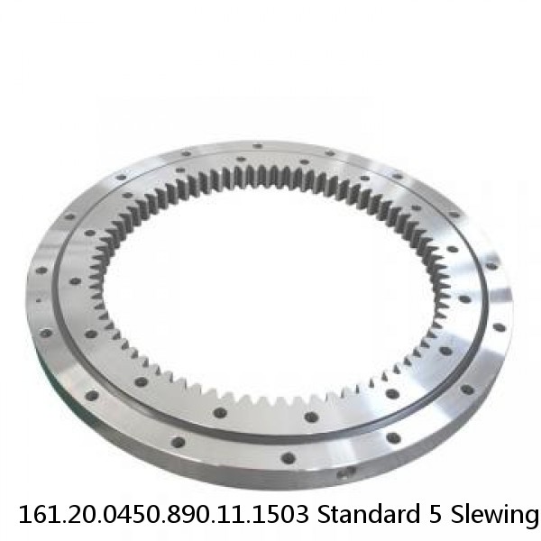 161.20.0450.890.11.1503 Standard 5 Slewing Ring Bearings