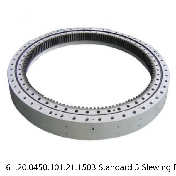 61.20.0450.101.21.1503 Standard 5 Slewing Ring Bearings