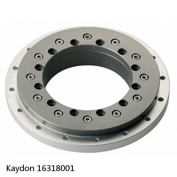 16318001 Kaydon Slewing Ring Bearings