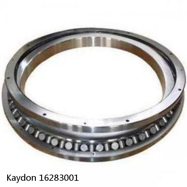 16283001 Kaydon Slewing Ring Bearings