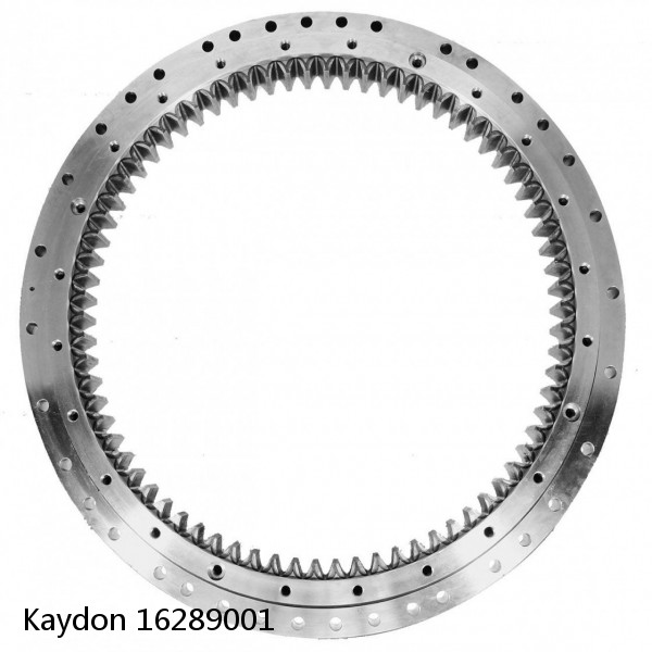 16289001 Kaydon Slewing Ring Bearings