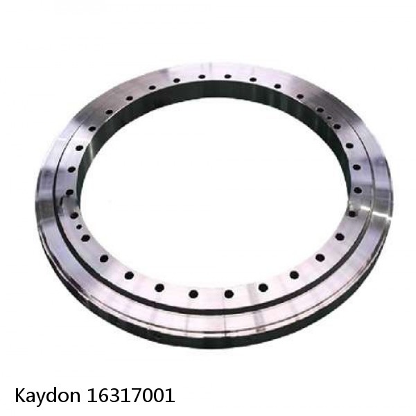 16317001 Kaydon Slewing Ring Bearings