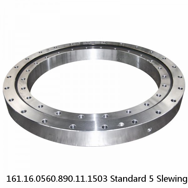 161.16.0560.890.11.1503 Standard 5 Slewing Ring Bearings