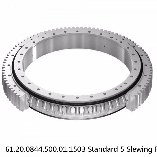 61.20.0844.500.01.1503 Standard 5 Slewing Ring Bearings