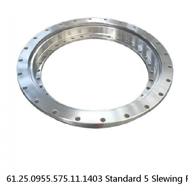 61.25.0955.575.11.1403 Standard 5 Slewing Ring Bearings