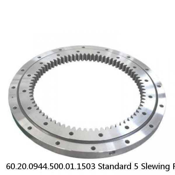 60.20.0944.500.01.1503 Standard 5 Slewing Ring Bearings