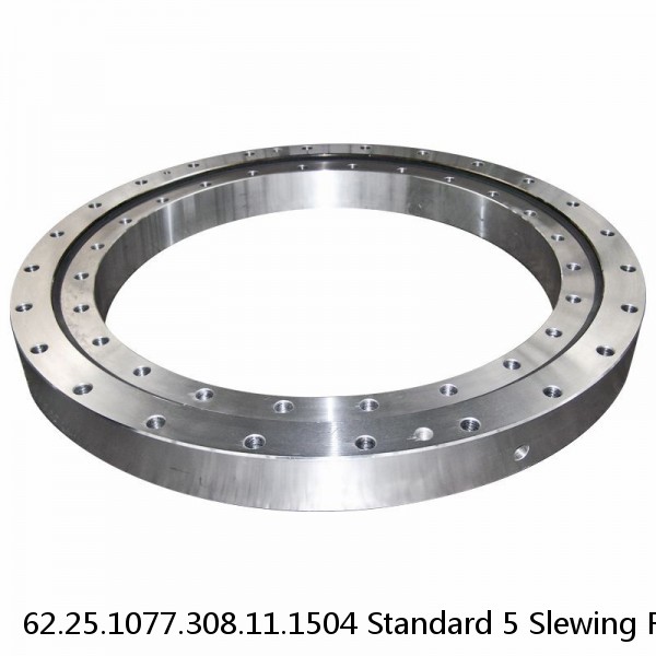 62.25.1077.308.11.1504 Standard 5 Slewing Ring Bearings