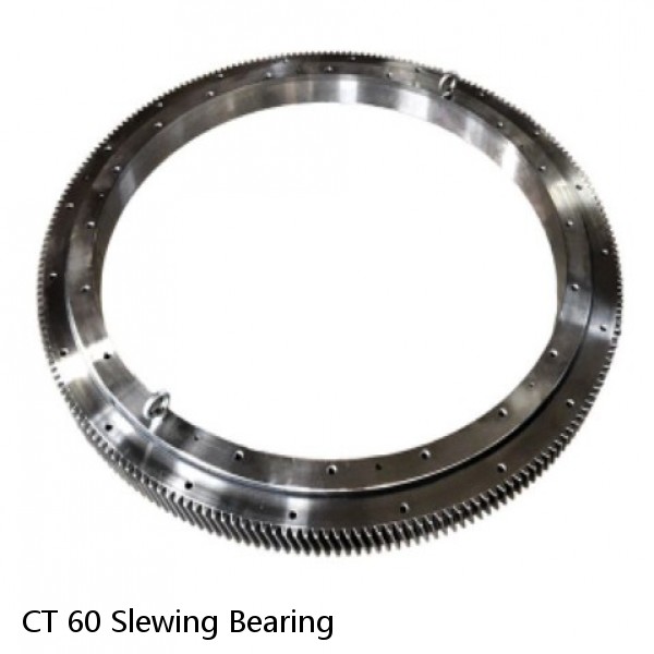 CT 60 Slewing Bearing