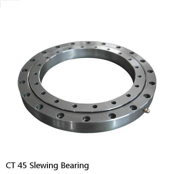 CT 45 Slewing Bearing