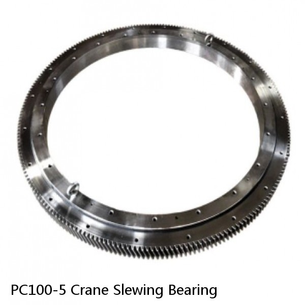 PC100-5 Crane Slewing Bearing