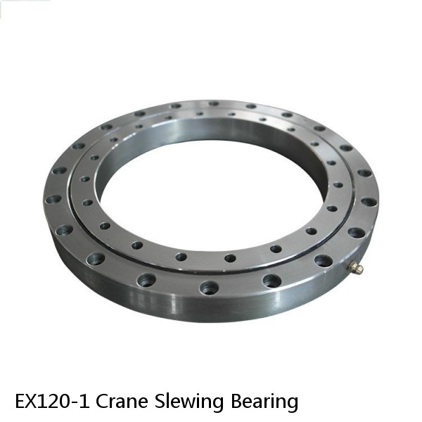 EX120-1 Crane Slewing Bearing