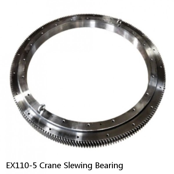 EX110-5 Crane Slewing Bearing