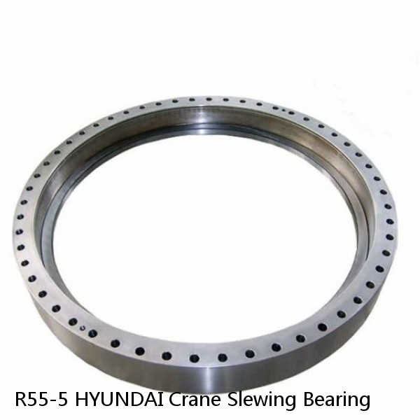 R55-5 HYUNDAI Crane Slewing Bearing