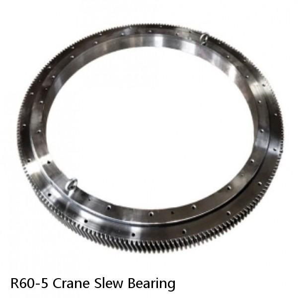 R60-5 Crane Slew Bearing