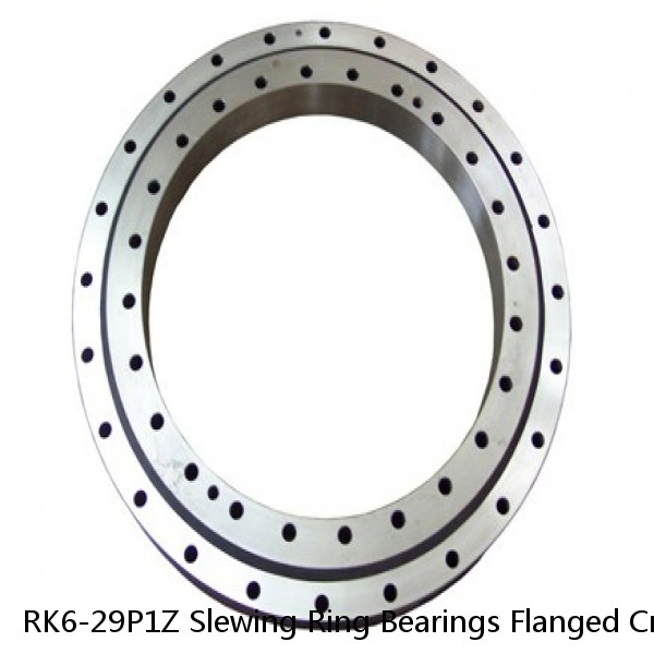 RK6-29P1Z Slewing Ring Bearings Flanged Cross-section