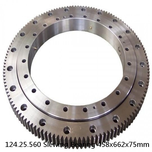 124.25.560 Slewing Bearing 458x662x75mm