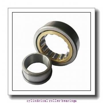 90 mm x 160 mm x 40 mm  FAG NJ2218-E-TVP2  Cylindrical Roller Bearings