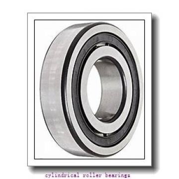 0.787 Inch | 20 Millimeter x 1.85 Inch | 47 Millimeter x 0.551 Inch | 14 Millimeter  NSK NU204W  Cylindrical Roller Bearings
