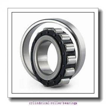 160 mm x 290 mm x 48 mm  FAG NUP232-E-M1  Cylindrical Roller Bearings