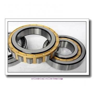 FAG NJ2220-E-TVP2-C3  Cylindrical Roller Bearings