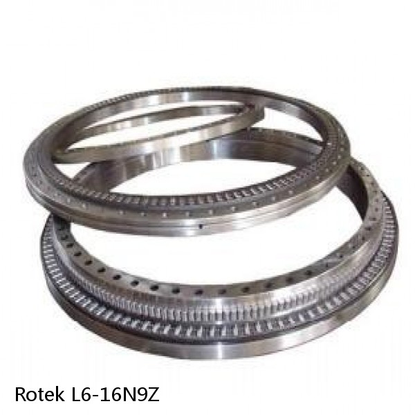 L6-16N9Z Rotek Slewing Ring Bearings