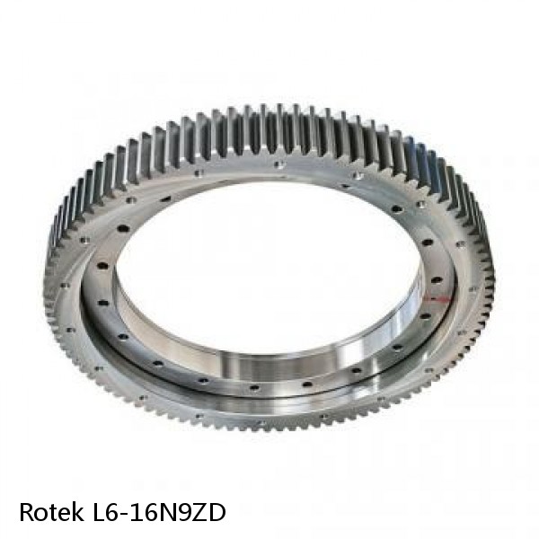 L6-16N9ZD Rotek Slewing Ring Bearings