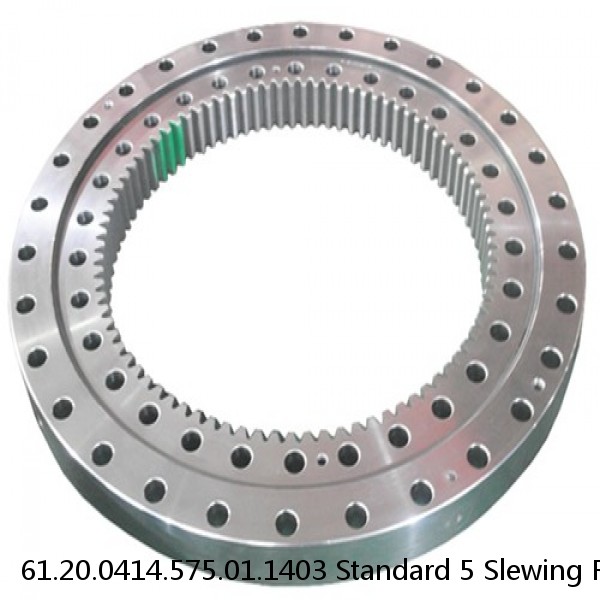 61.20.0414.575.01.1403 Standard 5 Slewing Ring Bearings