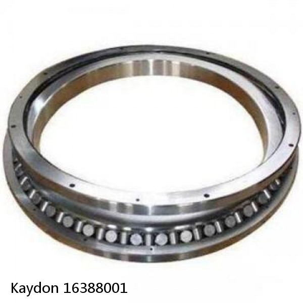 16388001 Kaydon Slewing Ring Bearings