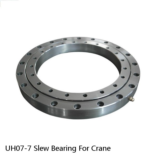 UH07-7 Slew Bearing For Crane