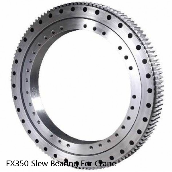 EX350 Slew Bearing For Crane