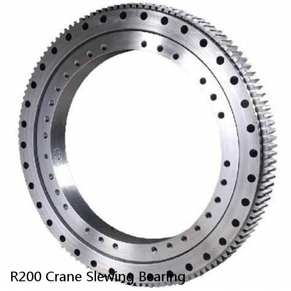 R200 Crane Slewing Bearing