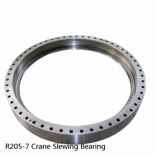 R205-7 Crane Slewing Bearing